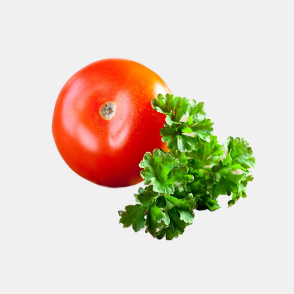 Bangalore Tomato (1 Kg)