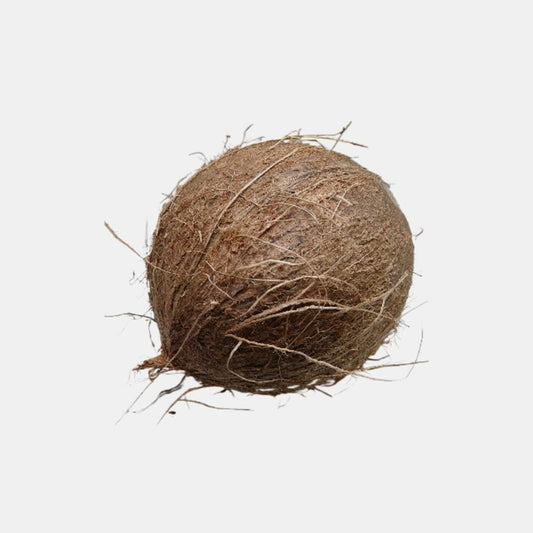 Coconut (1 Piece)