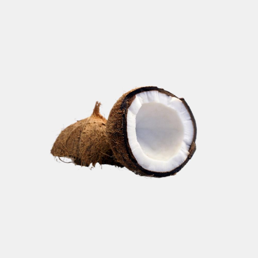 Coconut (1 Piece)