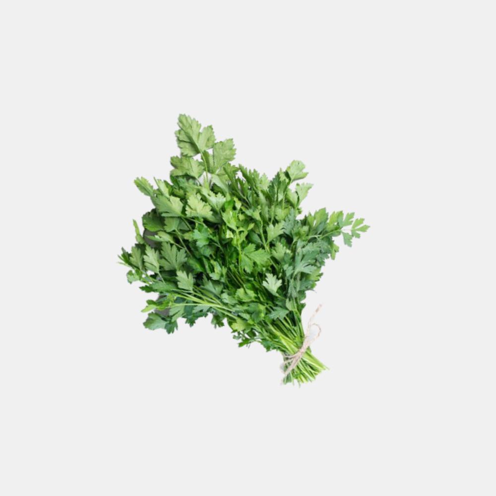 Coriander  (1 Bunch)