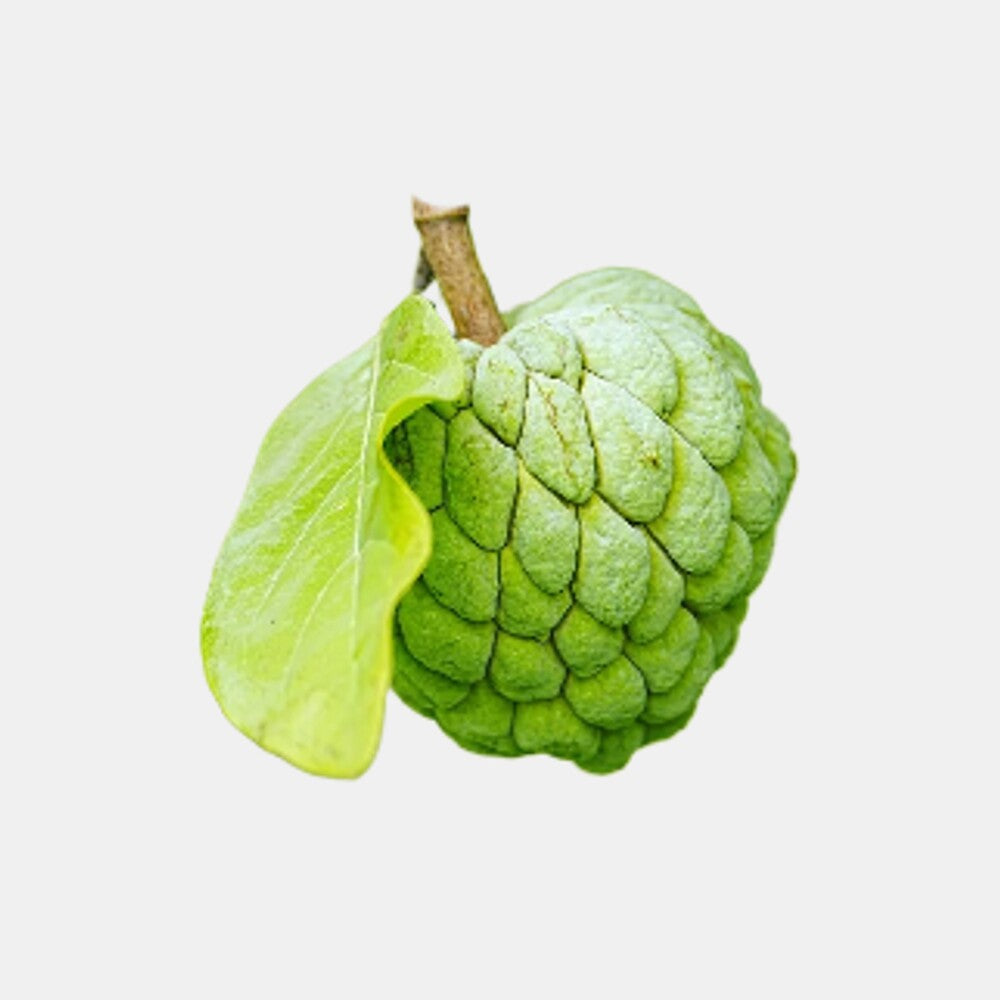 Custard Apple (500 gms)