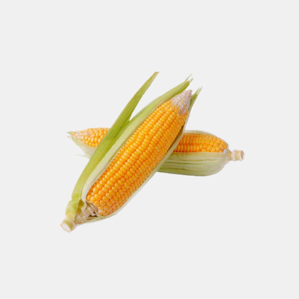 Sweet Corn (1 Piece)